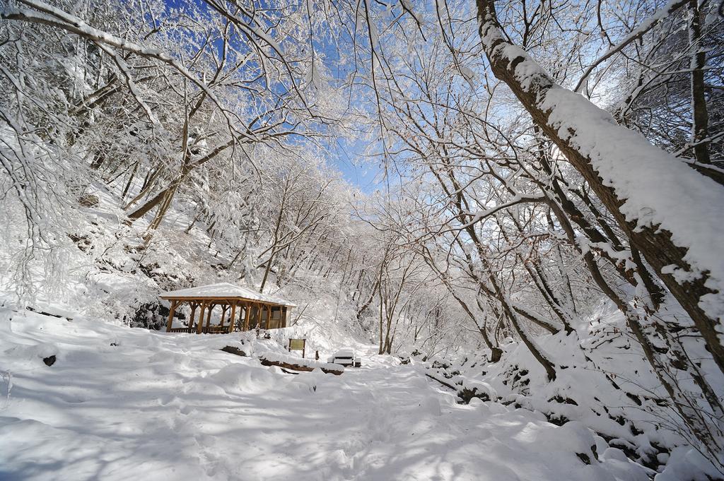Shukubo Komadori-Sanso Ome Exterior photo